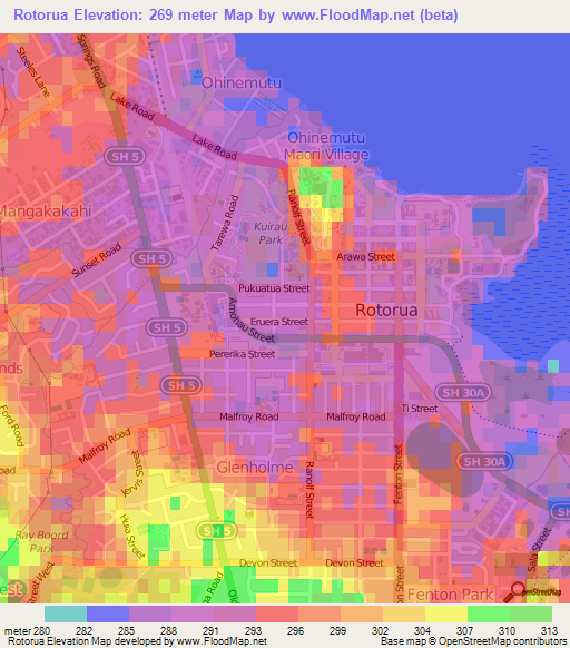 Rotorua,New Zealand Elevation Map