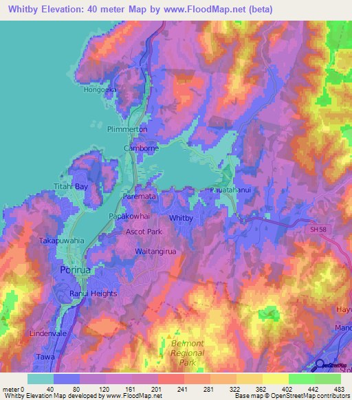 Whitby,New Zealand Elevation Map