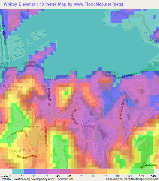 Whitby,New Zealand Elevation Map