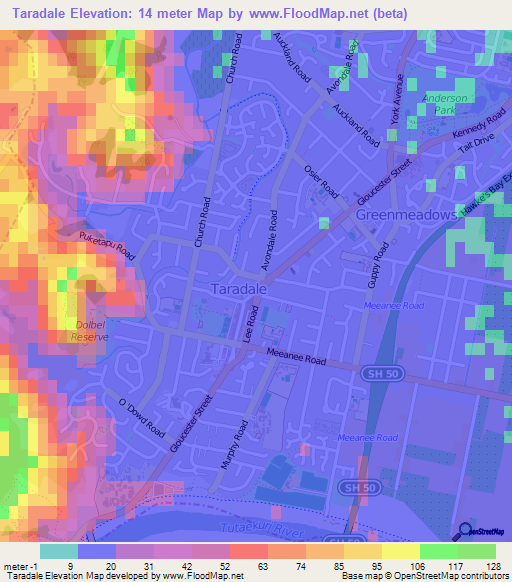 Taradale,New Zealand Elevation Map