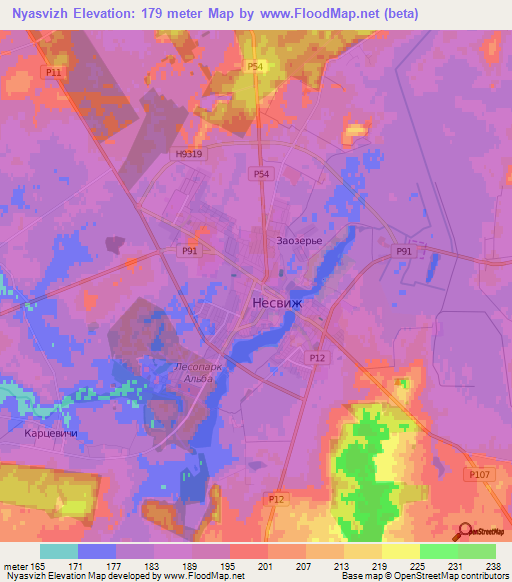 Nyasvizh,Belarus Elevation Map
