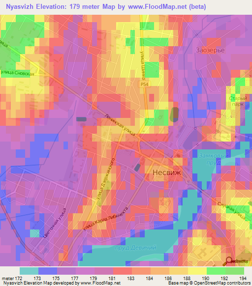 Nyasvizh,Belarus Elevation Map
