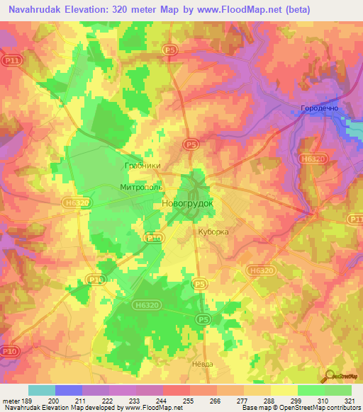 Navahrudak,Belarus Elevation Map