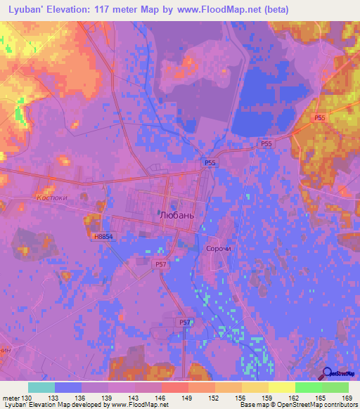 Lyuban',Belarus Elevation Map