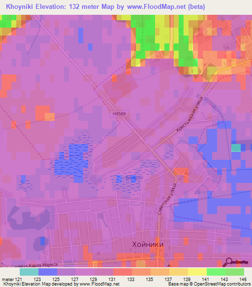 Khoyniki,Belarus Elevation Map