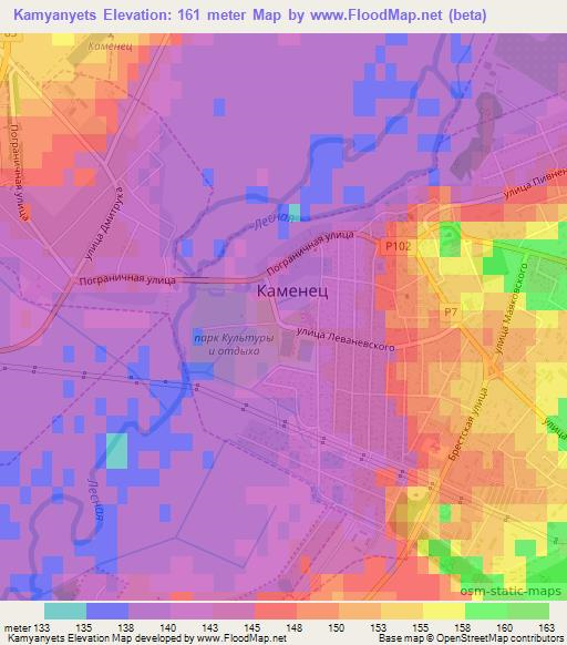 Kamyanyets,Belarus Elevation Map