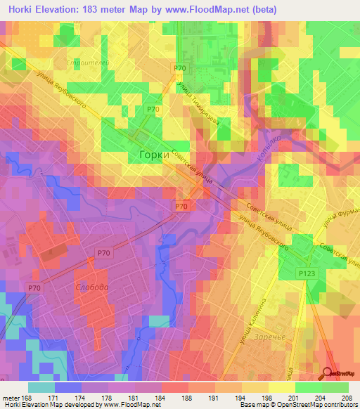 Horki,Belarus Elevation Map
