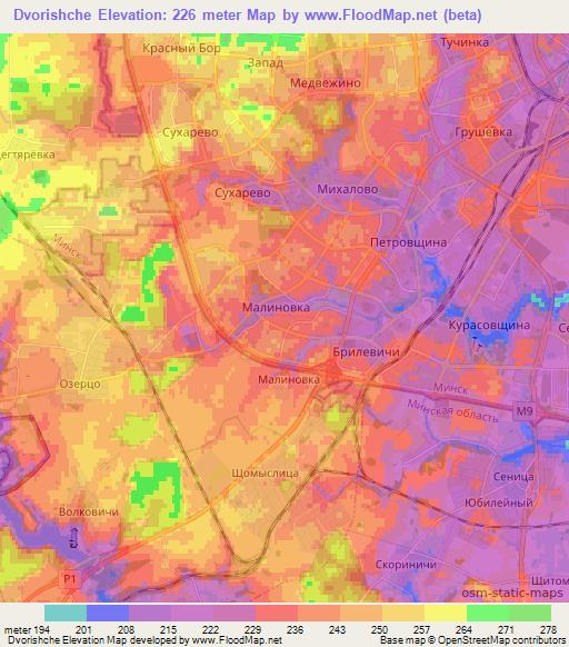 Dvorishche,Belarus Elevation Map