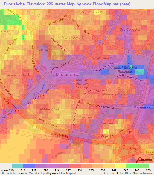 Dvorishche,Belarus Elevation Map