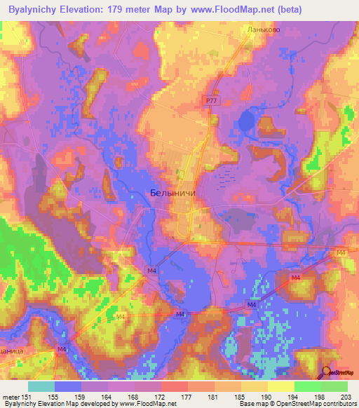 Byalynichy,Belarus Elevation Map