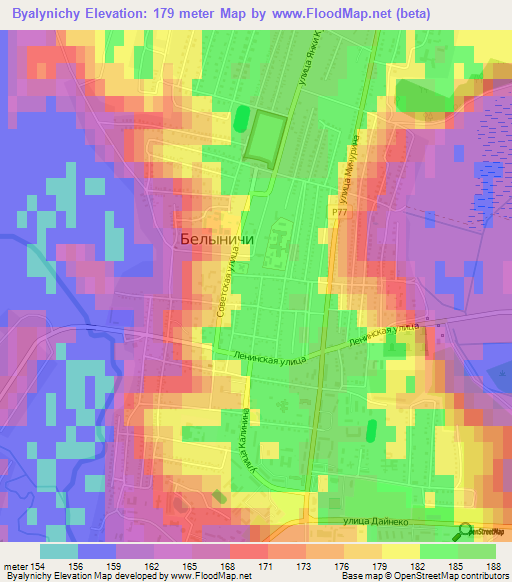 Byalynichy,Belarus Elevation Map
