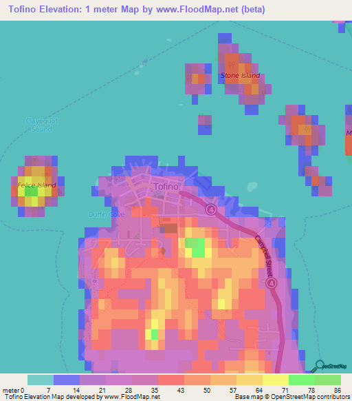 Tofino,Canada Elevation Map