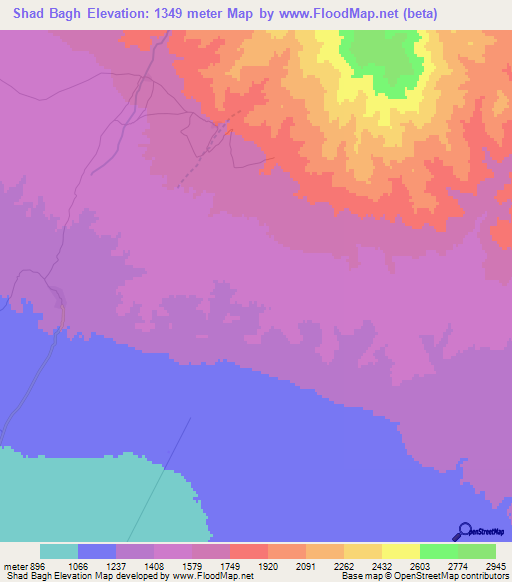 Shad Bagh,Iran Elevation Map