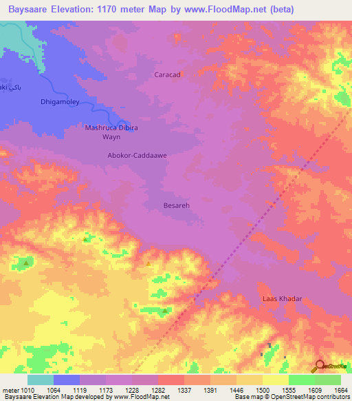 Baysaare,Somalia Elevation Map