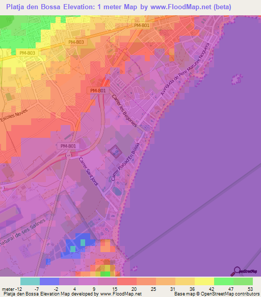 Platja den Bossa,Spain Elevation Map