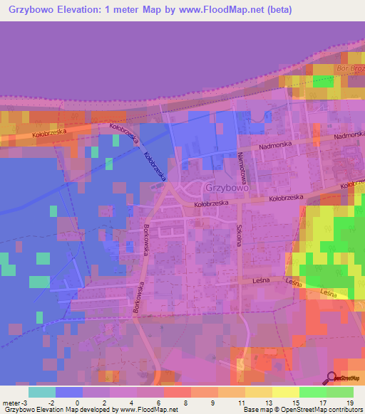 Grzybowo,Poland Elevation Map