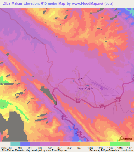 Ziba Makan,Iran Elevation Map