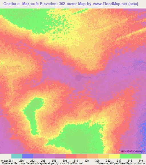 Gneiba el Mazroufa,Mauritania Elevation Map