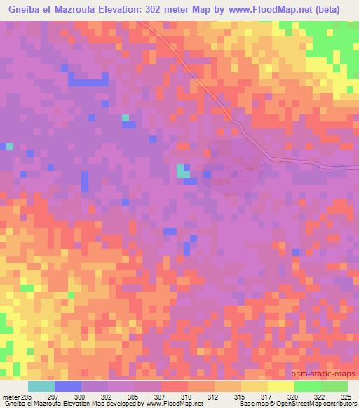 Gneiba el Mazroufa,Mauritania Elevation Map
