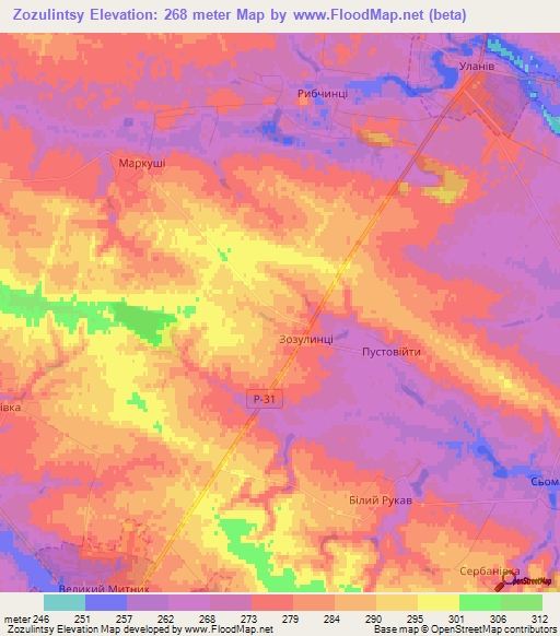 Zozulintsy,Ukraine Elevation Map