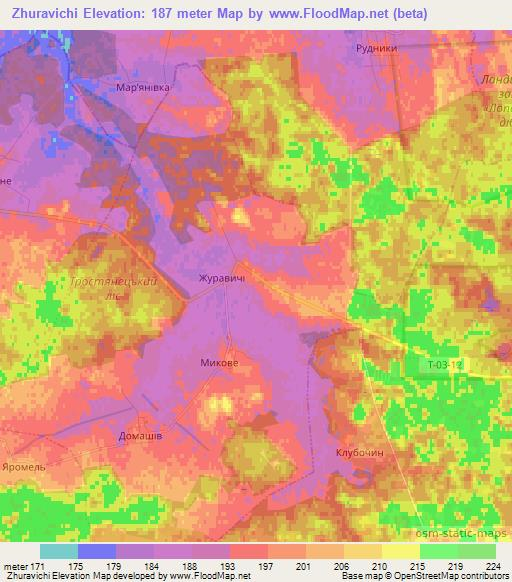 Zhuravichi,Ukraine Elevation Map