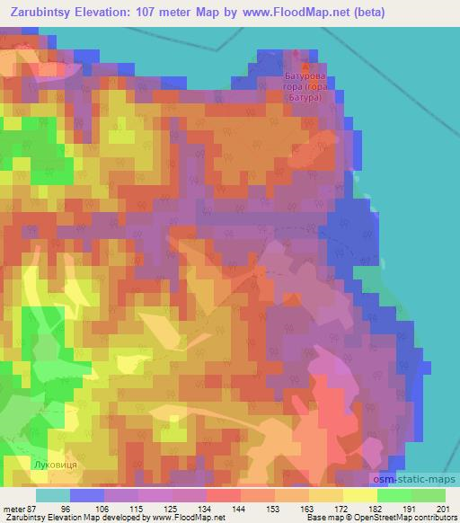 Zarubintsy,Ukraine Elevation Map