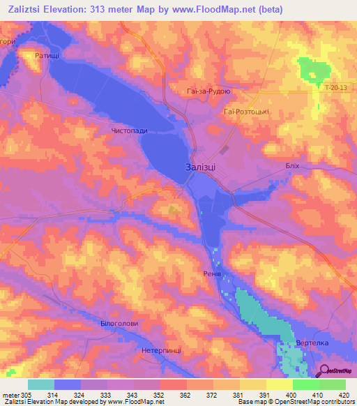 Zaliztsi,Ukraine Elevation Map