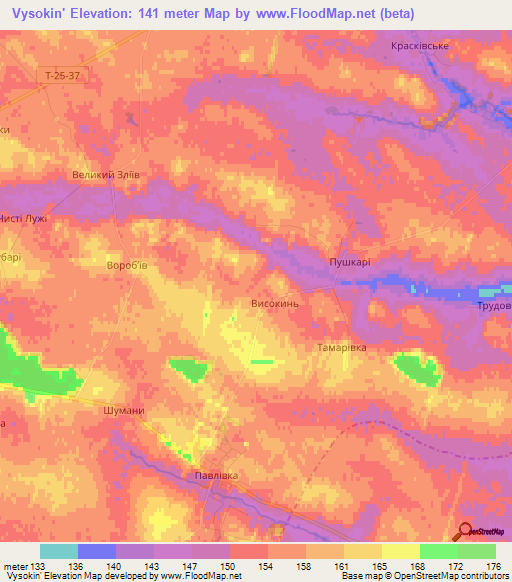 Vysokin',Ukraine Elevation Map