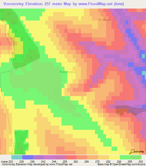 Voronovtsy,Ukraine Elevation Map