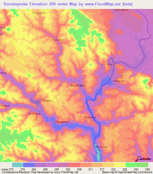 Vorobeyevka,Ukraine Elevation Map