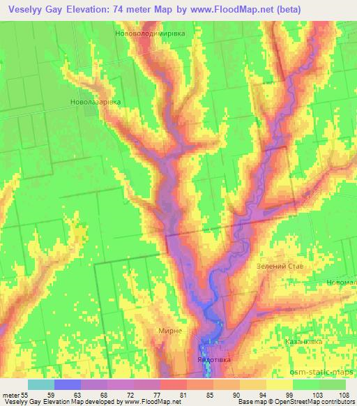 Veselyy Gay,Ukraine Elevation Map