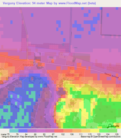 Verguny,Ukraine Elevation Map