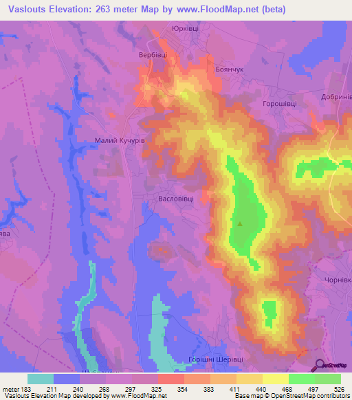 Vaslouts,Ukraine Elevation Map