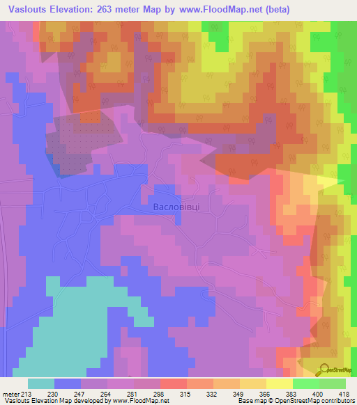 Vaslouts,Ukraine Elevation Map