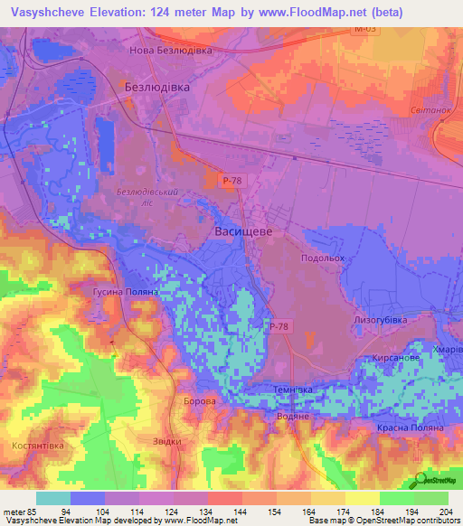Vasyshcheve,Ukraine Elevation Map