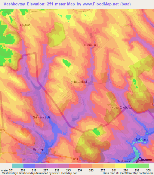 Vashkovtsy,Ukraine Elevation Map