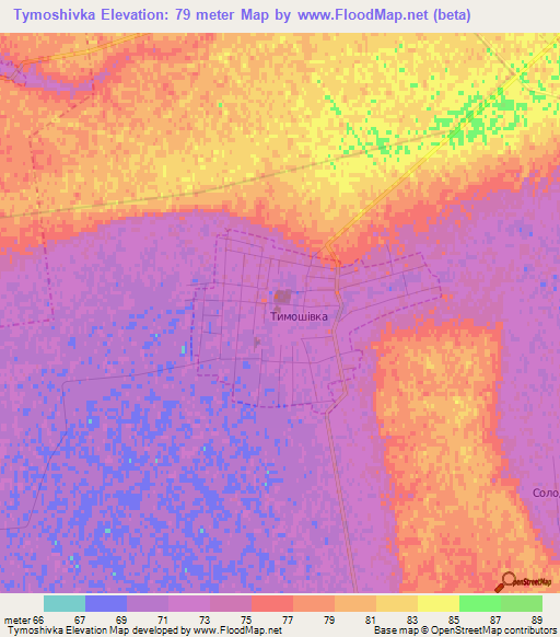 Tymoshivka,Ukraine Elevation Map
