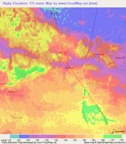 Ripky,Ukraine Elevation Map