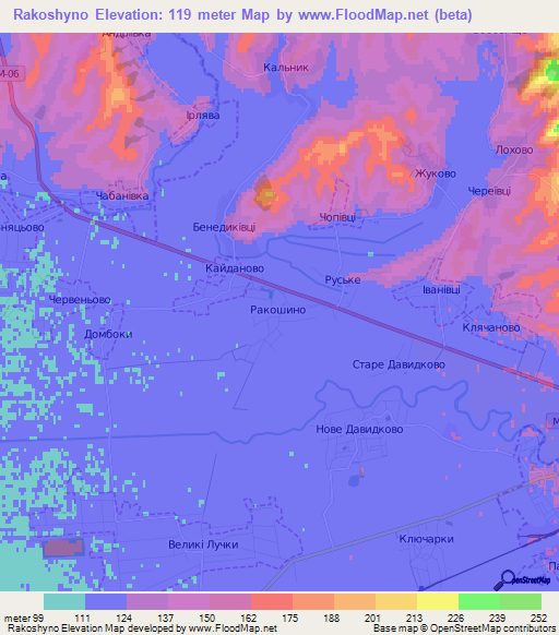 Rakoshyno,Ukraine Elevation Map