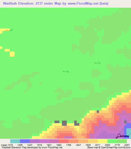 Wadibah,Yemen Elevation Map