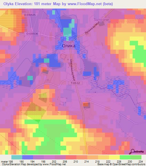 Olyka,Ukraine Elevation Map