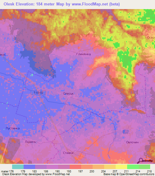 Olesk,Ukraine Elevation Map