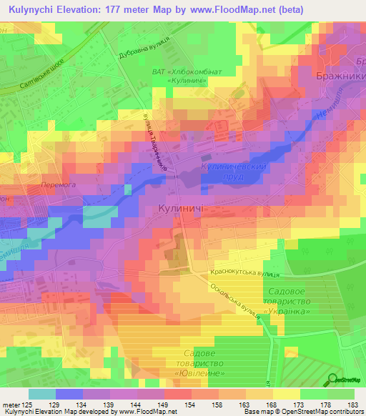 Kulynychi,Ukraine Elevation Map