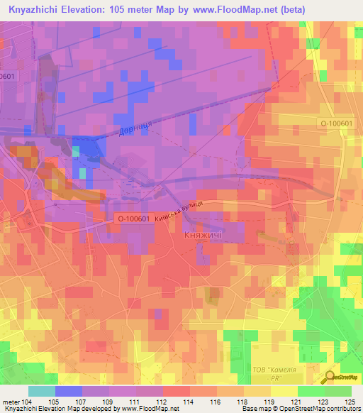 Knyazhichi,Ukraine Elevation Map