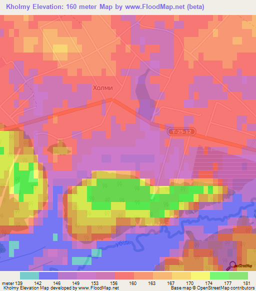 Kholmy,Ukraine Elevation Map