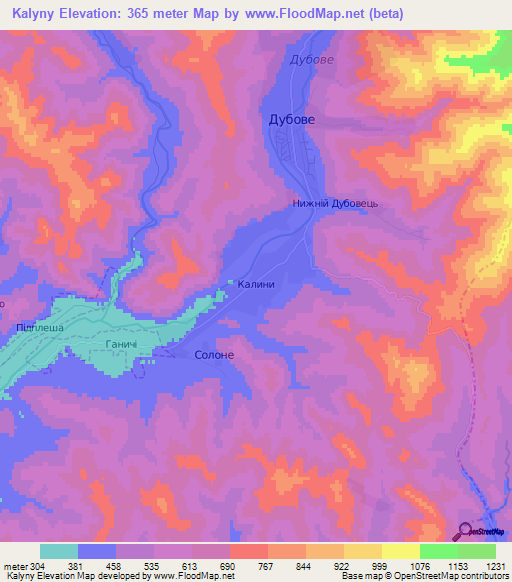 Kalyny,Ukraine Elevation Map