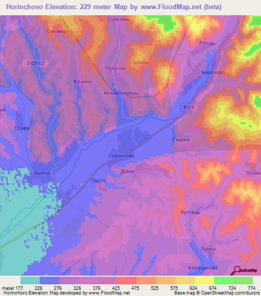 Horinchovo,Ukraine Elevation Map
