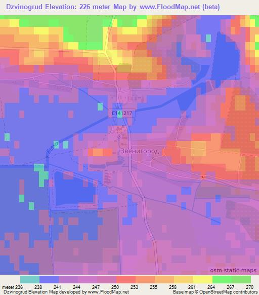 Dzvinogrud,Ukraine Elevation Map