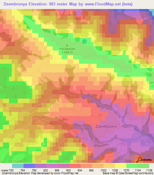 Dzembronya,Ukraine Elevation Map