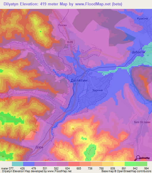 Dilyatyn,Ukraine Elevation Map